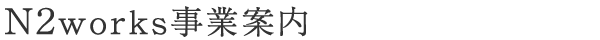n2_company.png